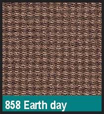 858 Earth Day